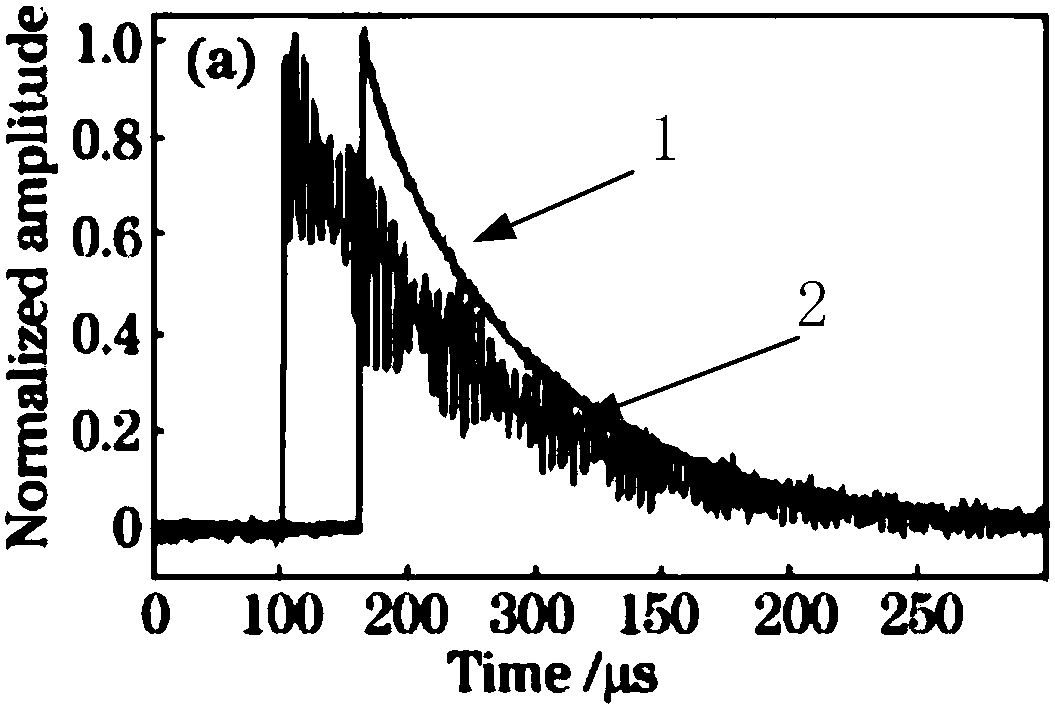 Optical waveguide lightning pulse electric field detection device of suppressing piezoelectric interference and method