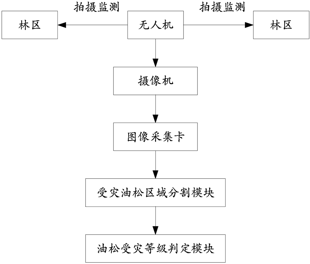 Determination method of disaster-affected grades of Chinese white pines and determination system thereof