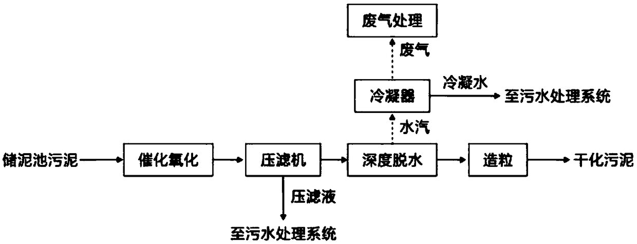 Municipal activated sludge treatment catalyst body, sludge treatment system and sludge treatment method