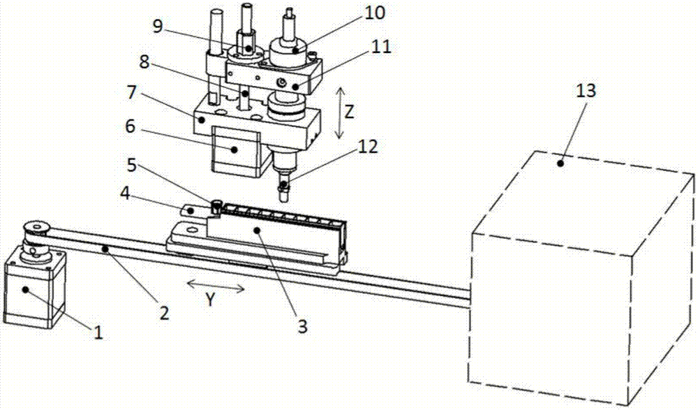 Kit for detecting procalcitonin in blood and method for detecting procalcitonin