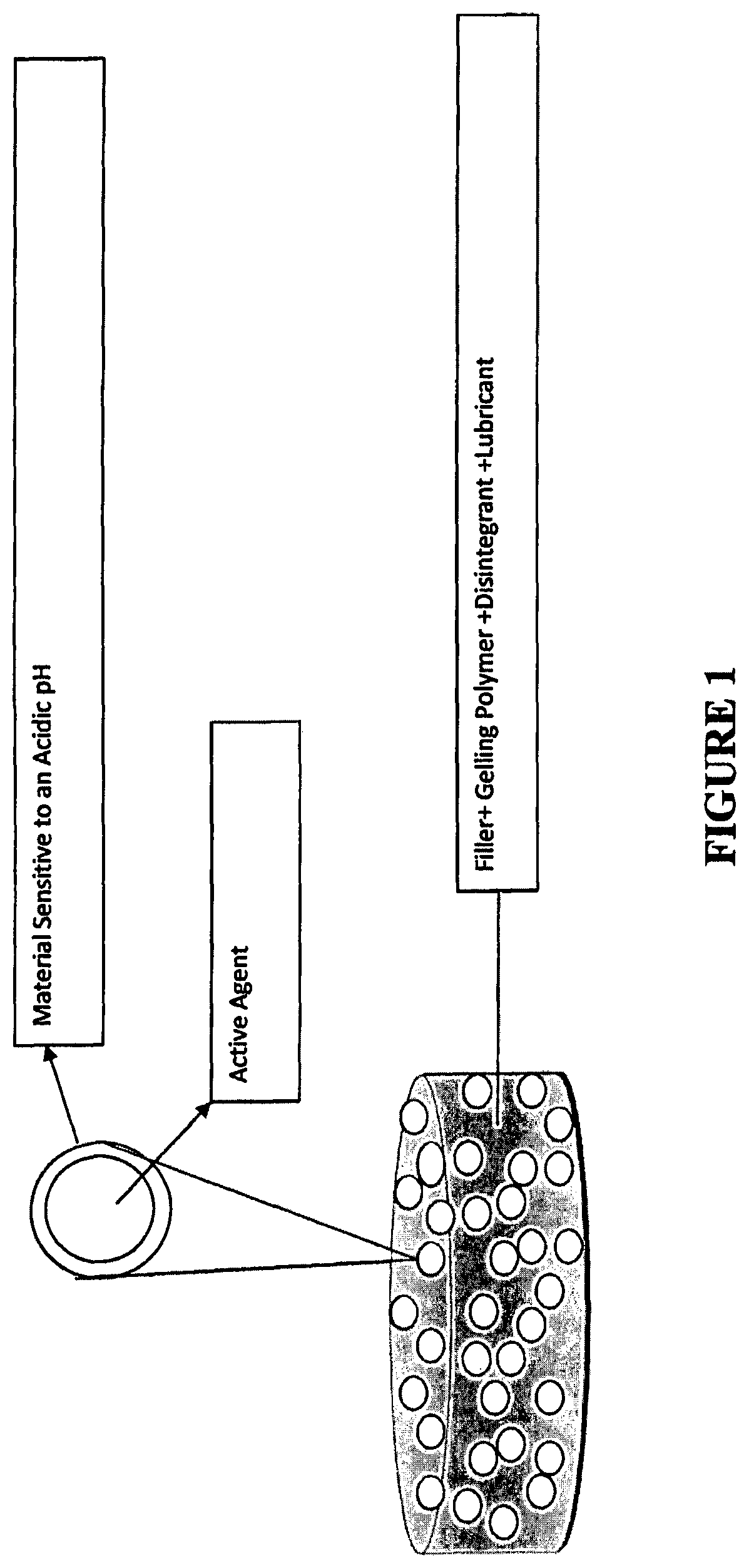 Tamper resistant immediate release formulations