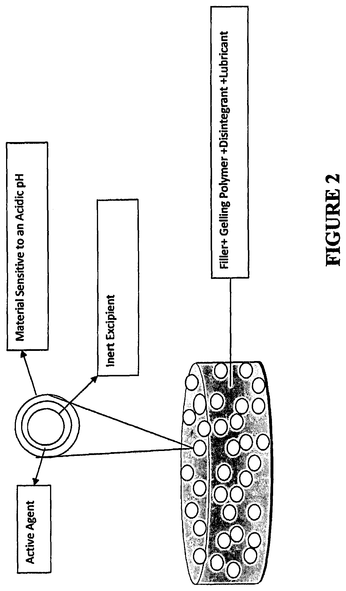 Tamper resistant immediate release formulations