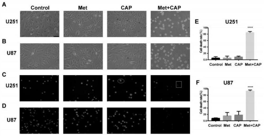 Application of Low Temperature Plasma Combined with Metformin