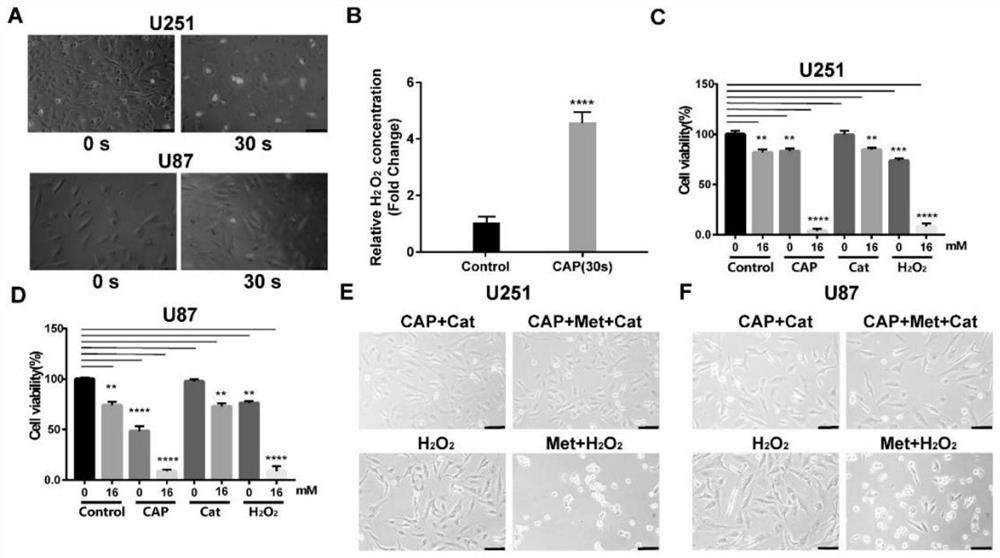 Application of Low Temperature Plasma Combined with Metformin