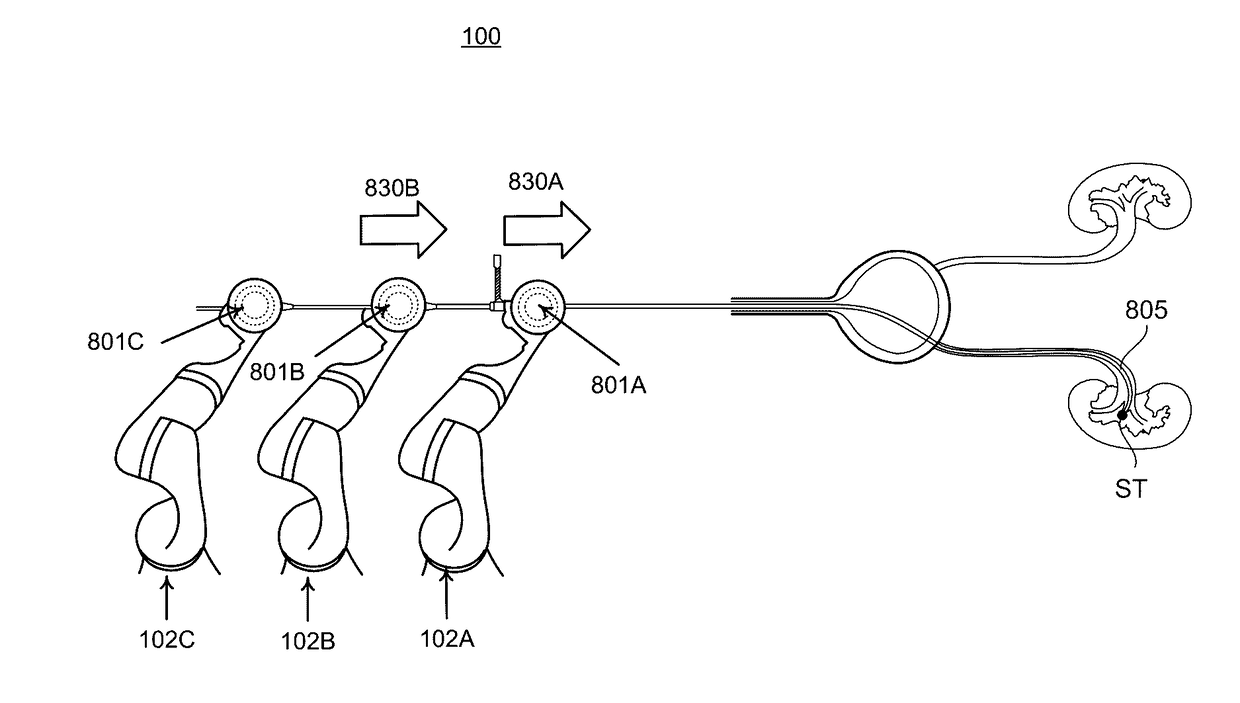 Basket apparatus