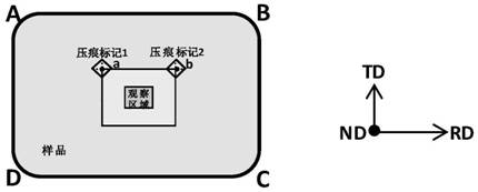 In-situ EBSD observation method for microscopic orientation evolution of recrystallized grains of magnesium alloy