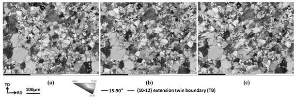 In-situ EBSD observation method for microscopic orientation evolution of recrystallized grains of magnesium alloy