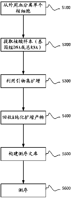 Primer set used for amplifying immunoglobulin light-chain CDR3 sequences, and its uses