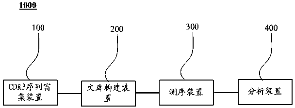 Primer set used for amplifying immunoglobulin light-chain CDR3 sequences, and its uses