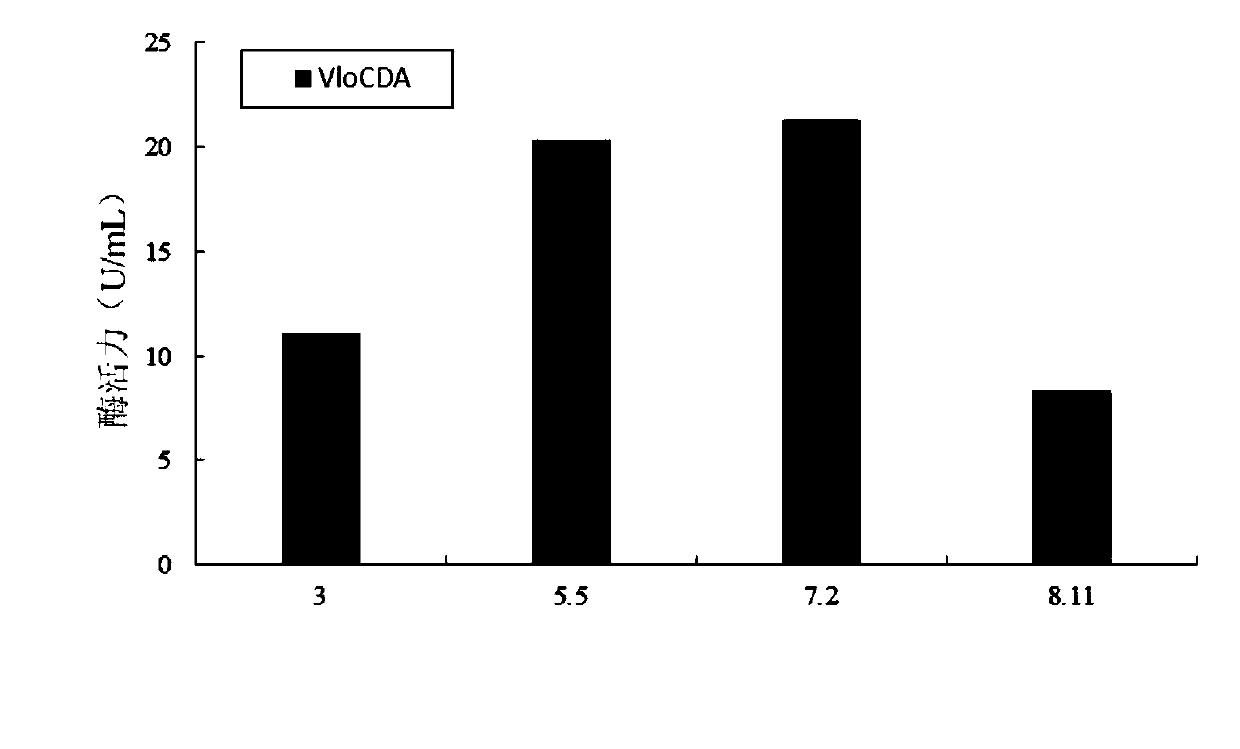 Chitin deacetylase and application thereof