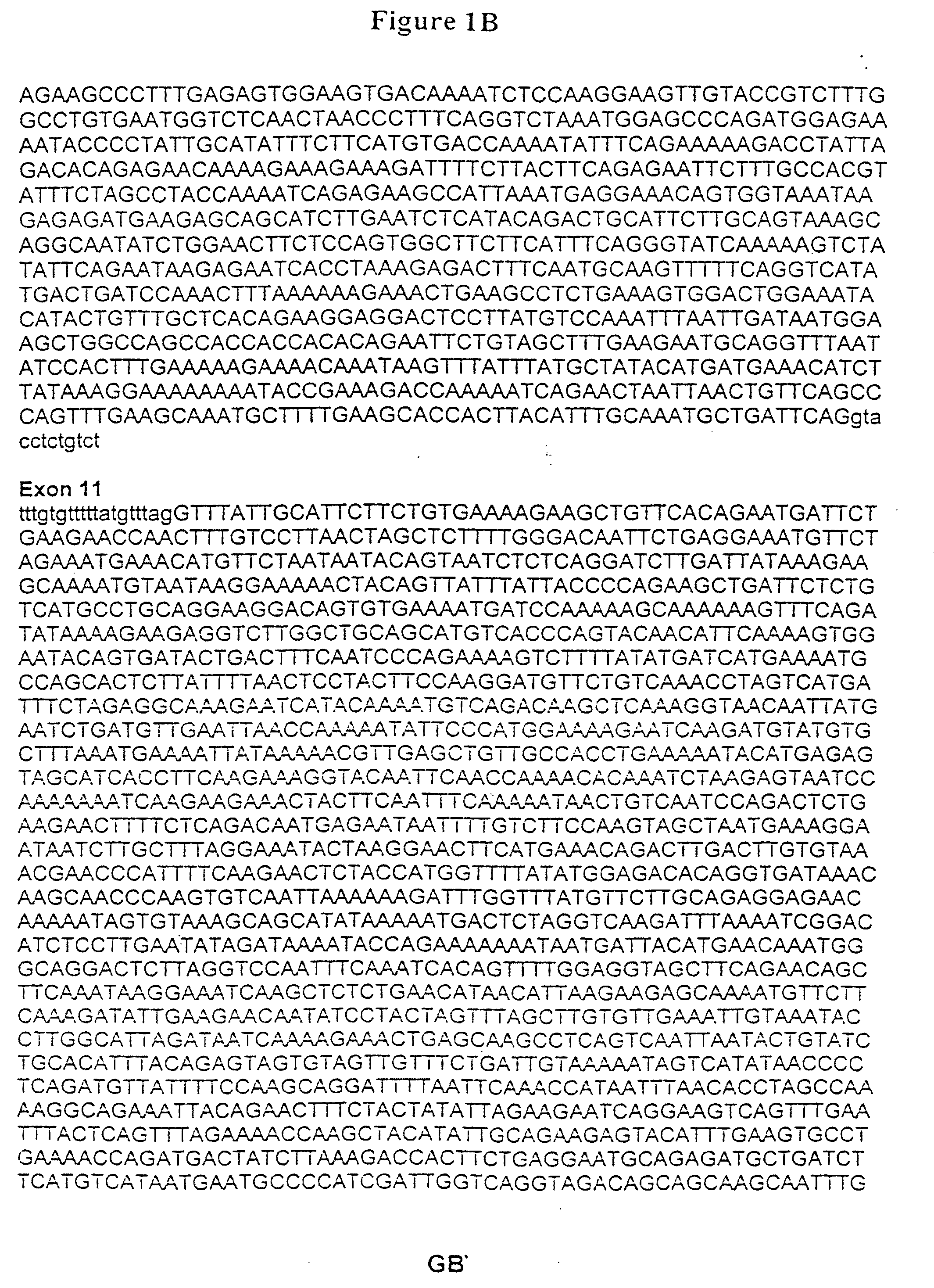 Method of Analyzing a BRCA2 Gene in a Human Subject