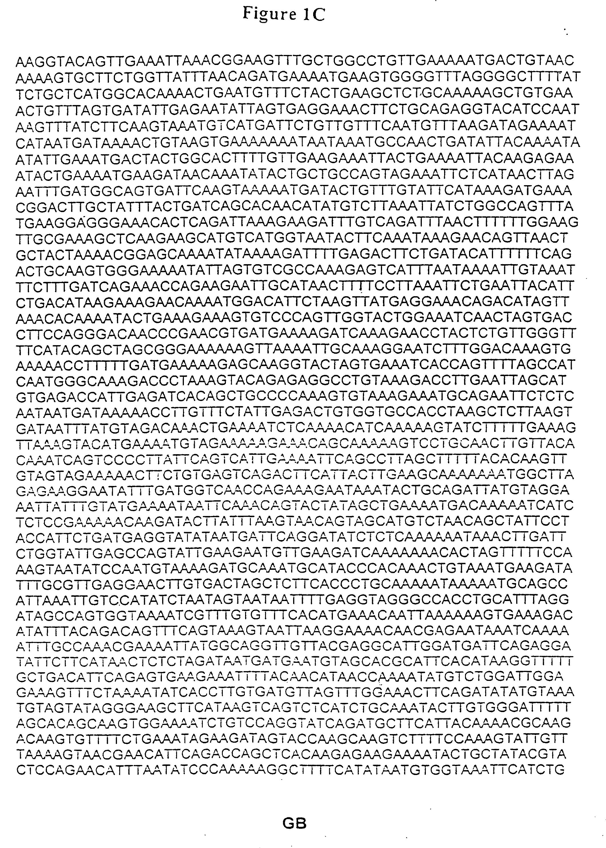 Method of Analyzing a BRCA2 Gene in a Human Subject