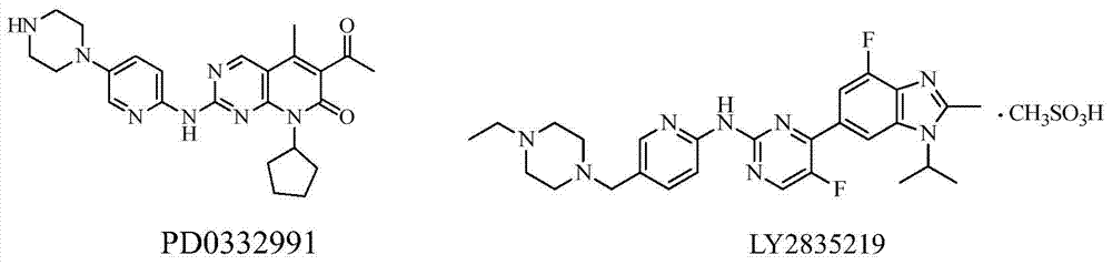 cdk kinase inhibitor