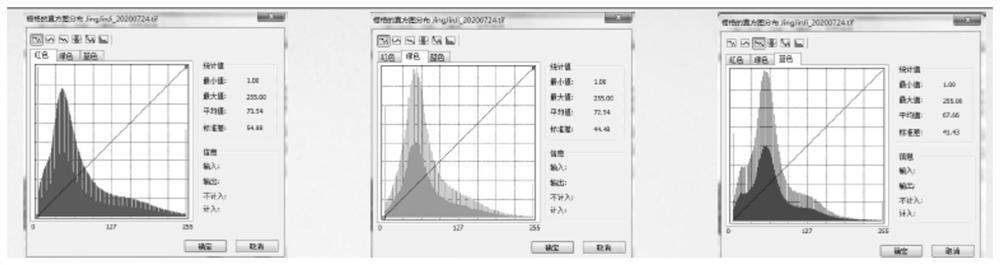 Remote sensing image color homogenizing method and system based on histogram matching, equipment and medium