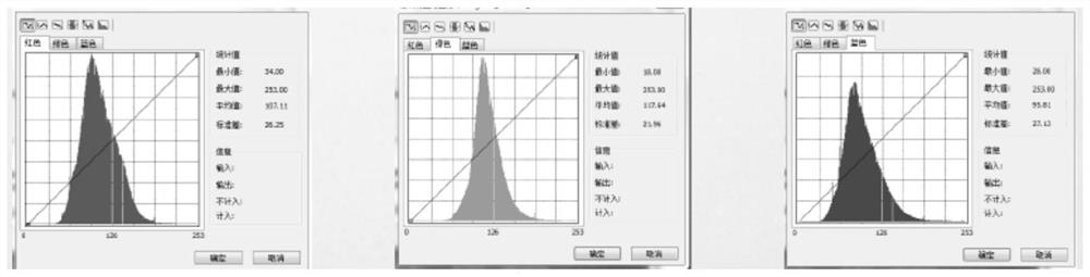 Remote sensing image color homogenizing method and system based on histogram matching, equipment and medium