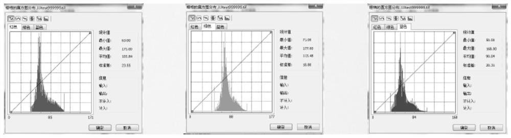 Remote sensing image color homogenizing method and system based on histogram matching, equipment and medium