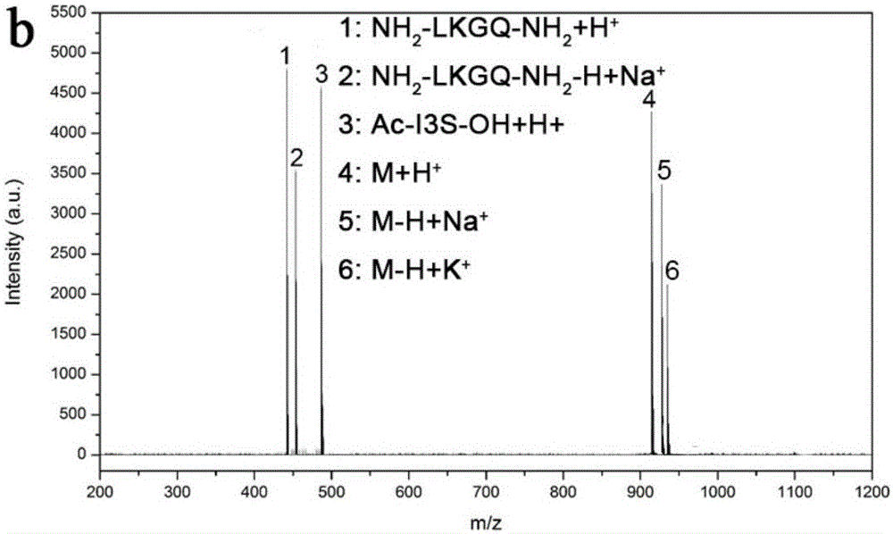 Polypeptide for preparing hydrogel and hydrogel made from polypeptide