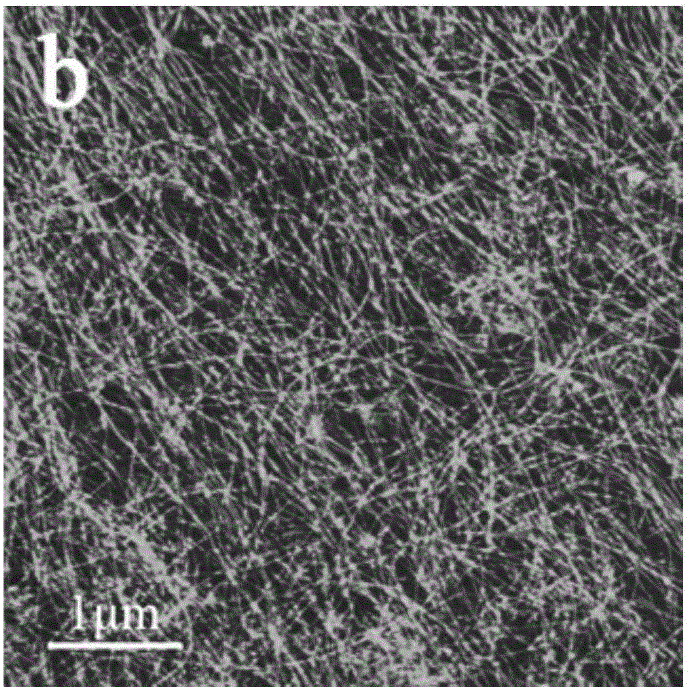 Polypeptide for preparing hydrogel and hydrogel made from polypeptide