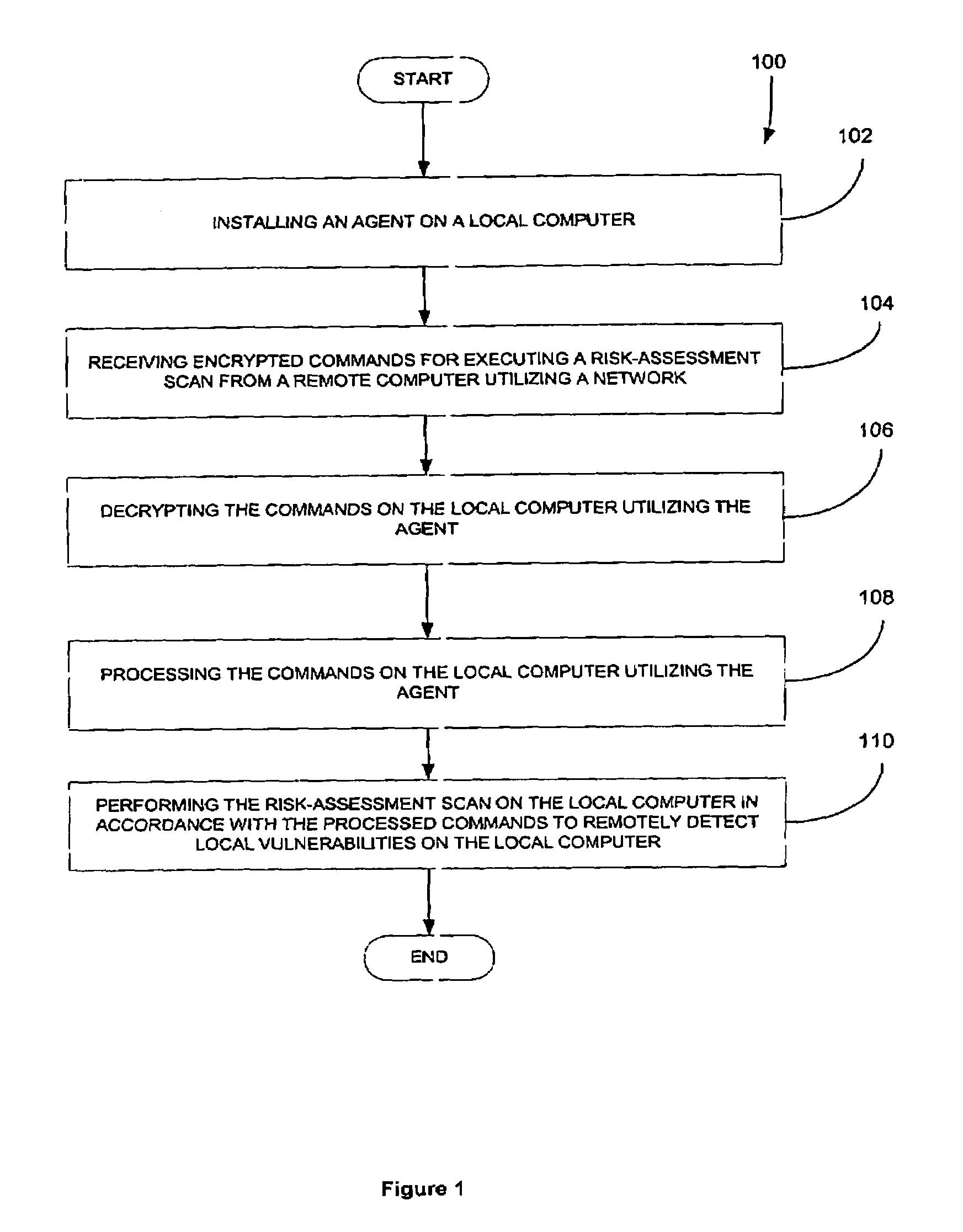 Network-based risk-assessment tool for remotely detecting local computer vulnerabilities