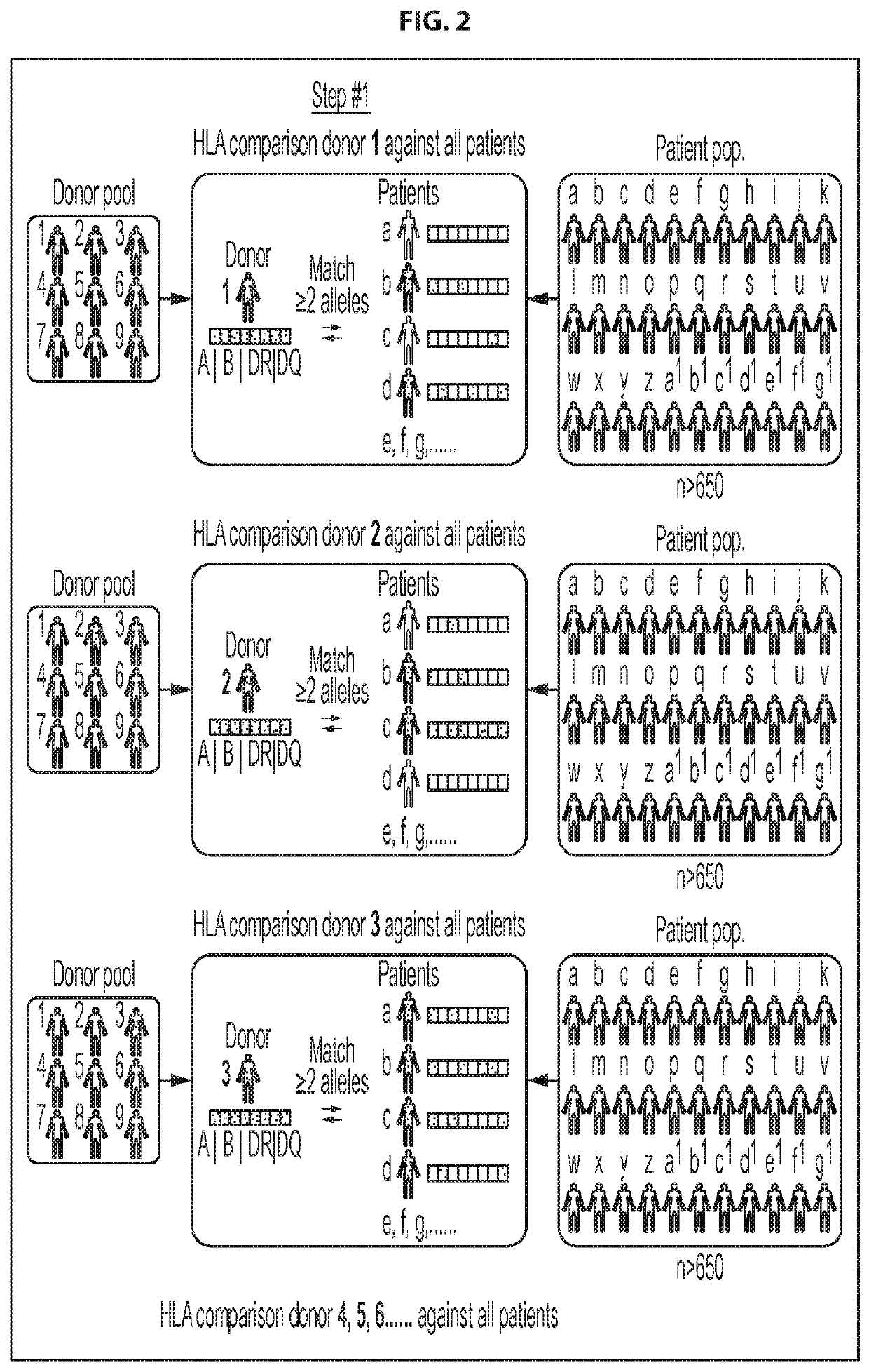 Antigen-specific t cell banks and methods of making and using the same therapeutically