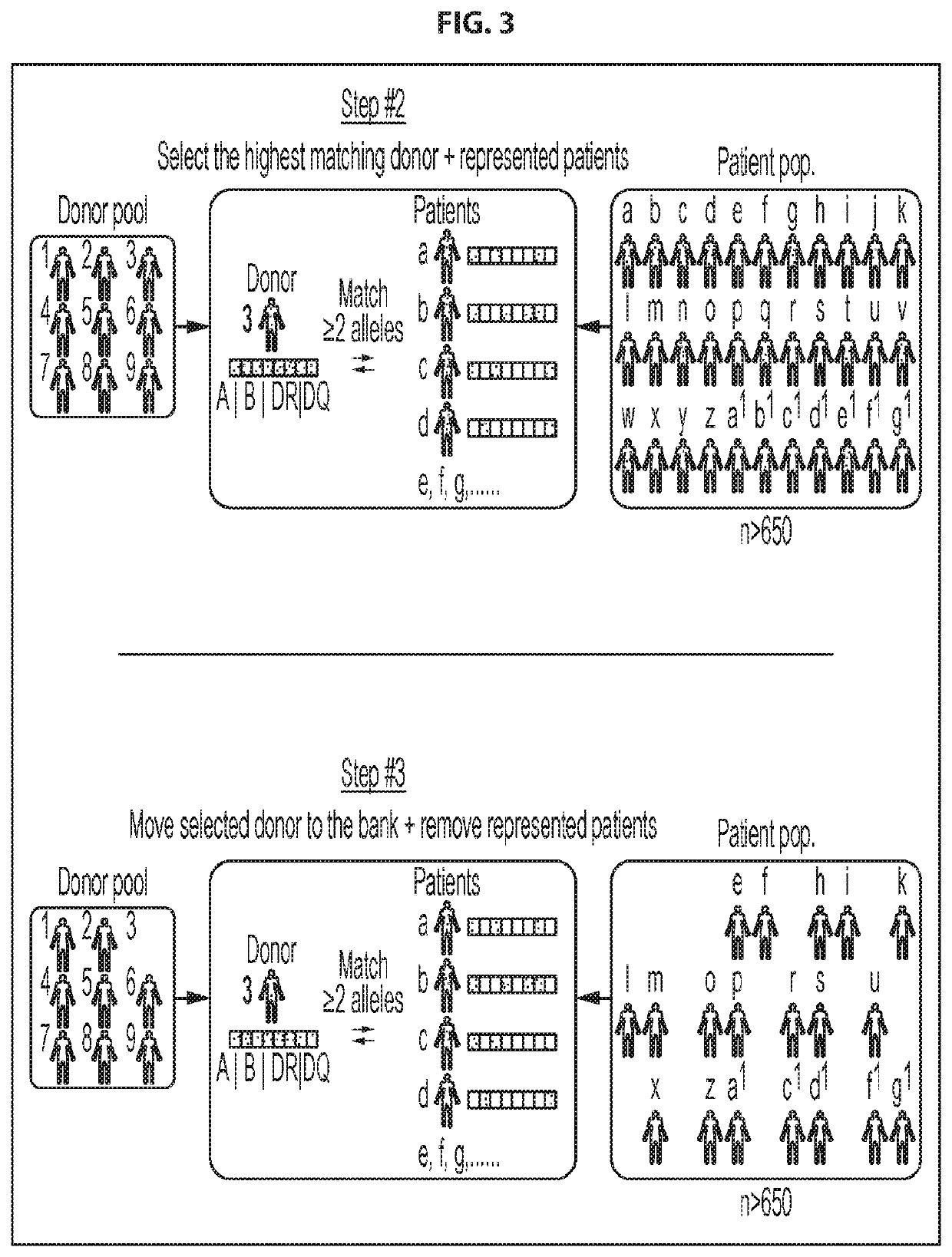 Antigen-specific t cell banks and methods of making and using the same therapeutically