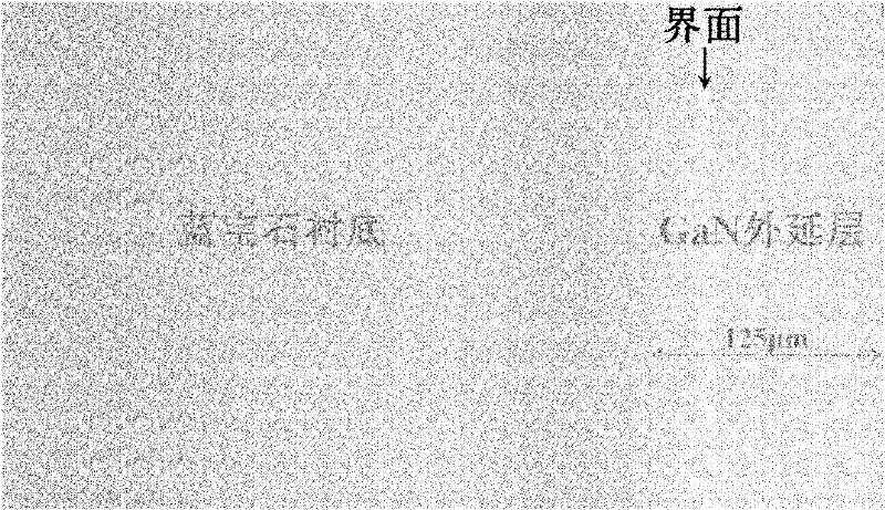 Epitaxial material stress control-based GaN thick film self-separation method