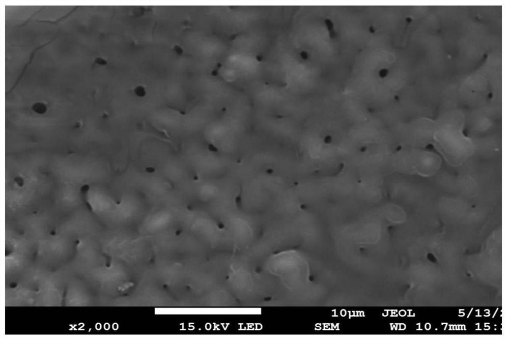 A kind of controlled drug release magnesium or magnesium alloy bionic bone and preparation method thereof