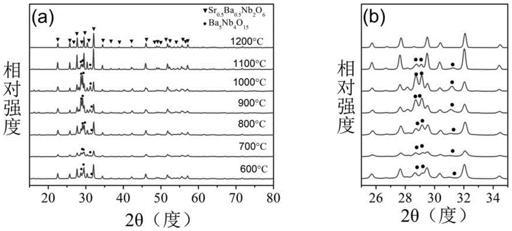 Method for preparing SBN (Sr0.5Ba0.5Nb2O6) nano-powder with improved sol-gel method