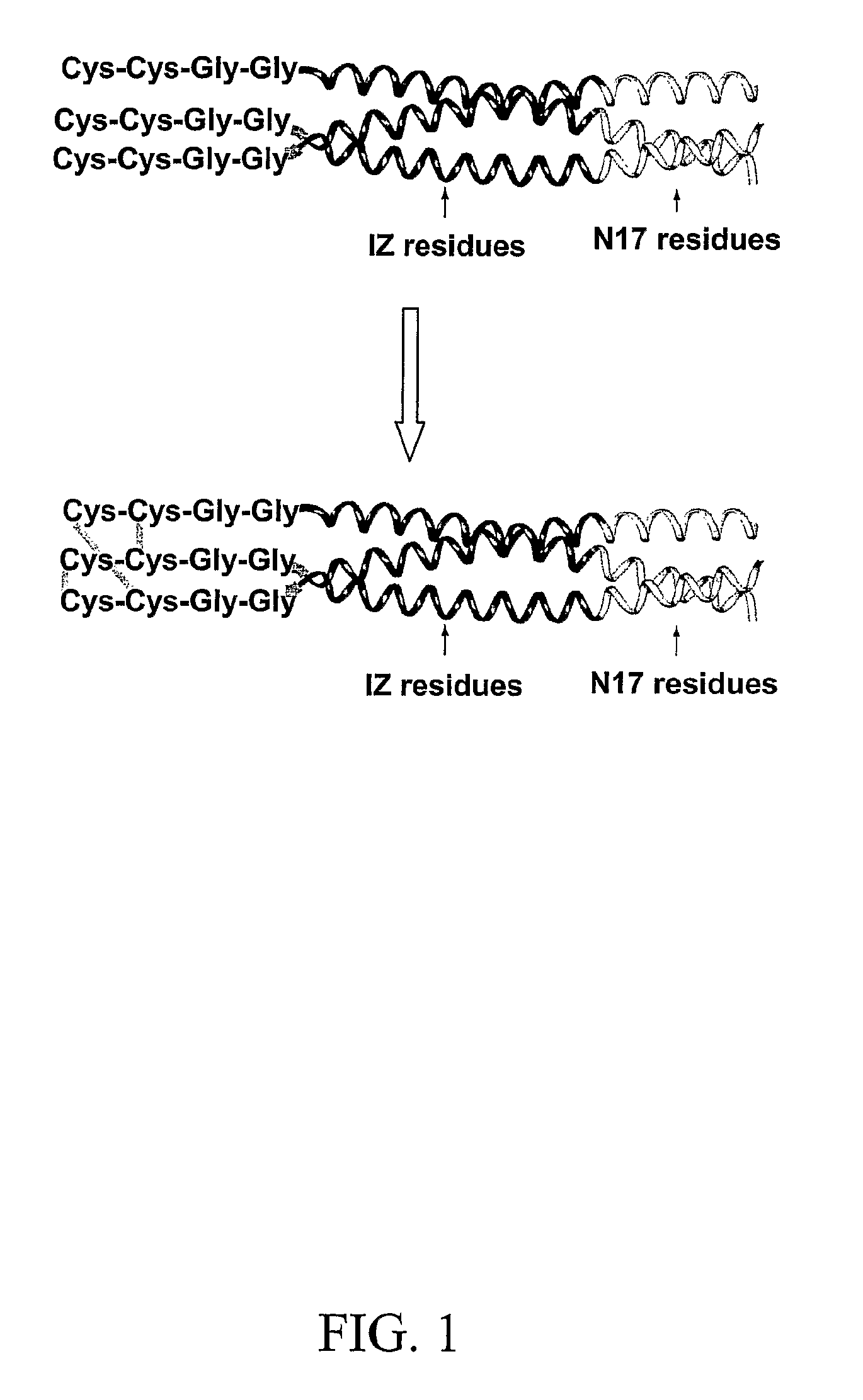 Covalently stabilized chimeric coiled-coil HIV gp41 N-peptides with improved antiviral activity