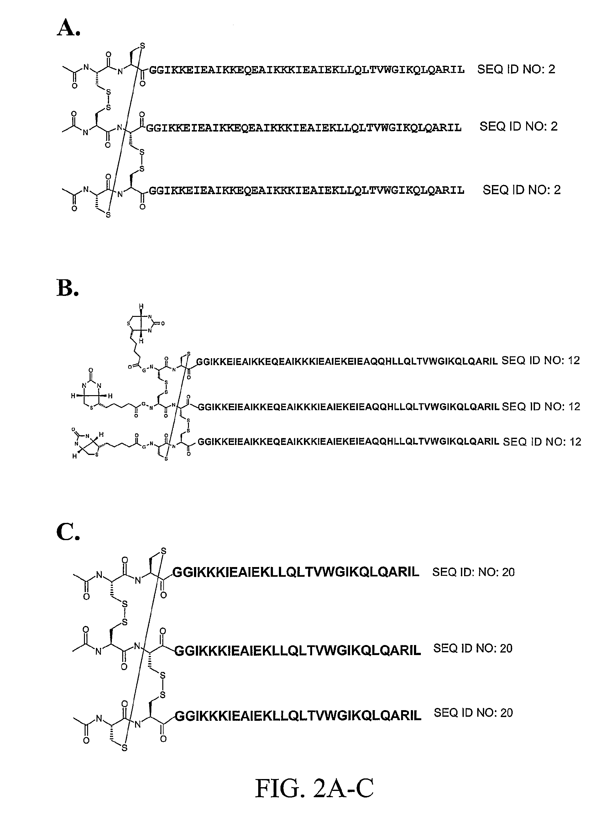 Covalently stabilized chimeric coiled-coil HIV gp41 N-peptides with improved antiviral activity