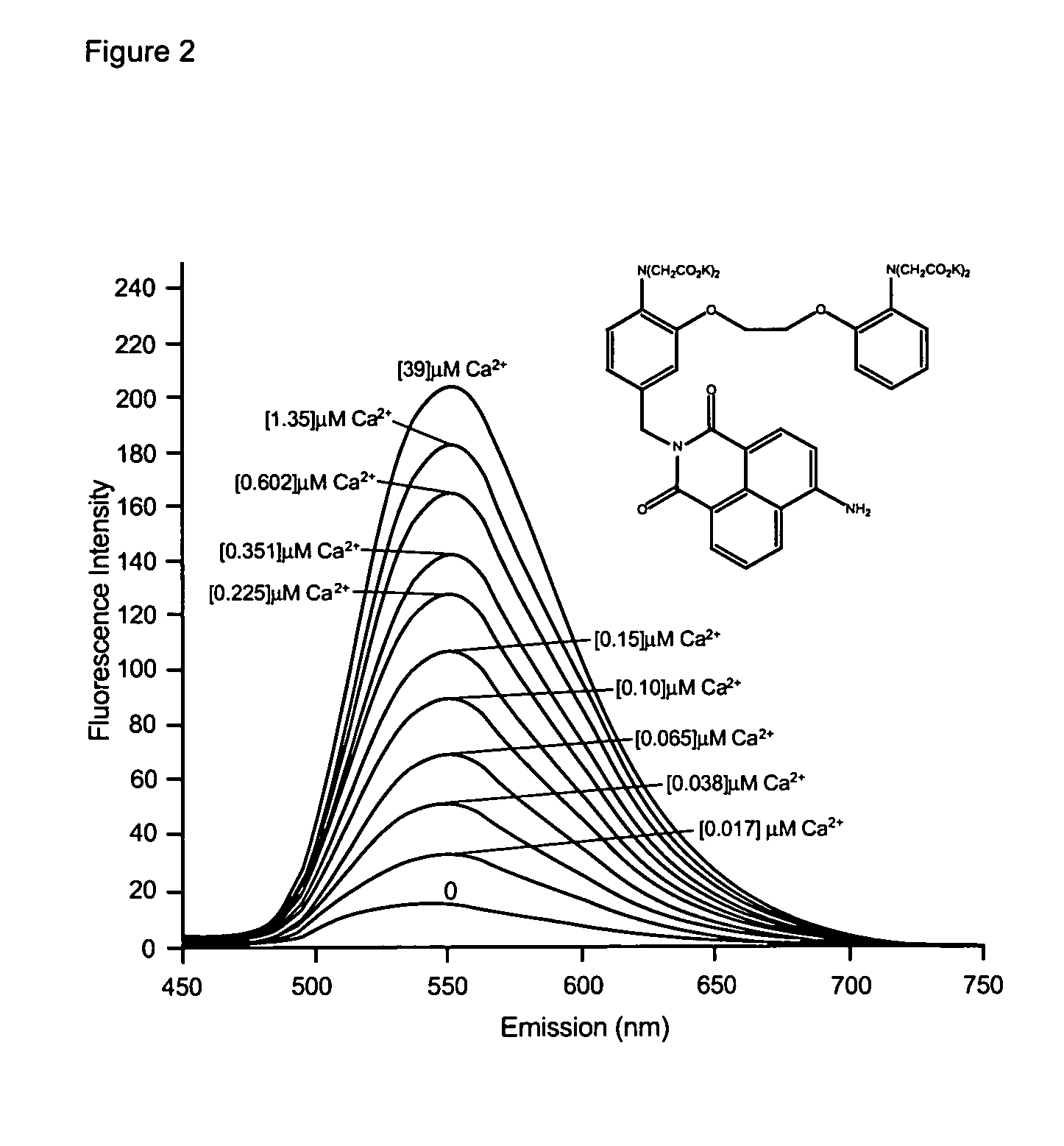 Fluorescent metal ion indicators with large stokes shift