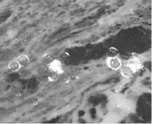 Dry -particle decorative ceramic tile and preparation method thereof