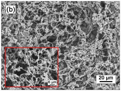 Polylactic acid/polycaprolactone three-dimensional porous composite monolithic column material and preparation method thereof