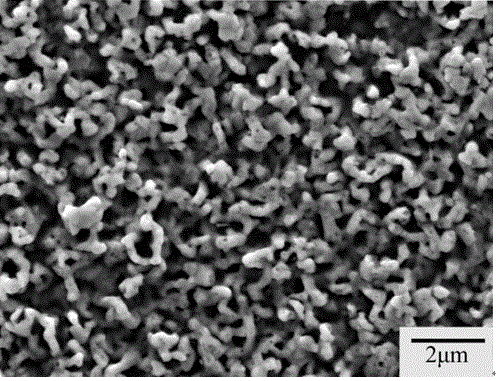 Method for preparing surface plasma nitrided layer of high-entropy alloy