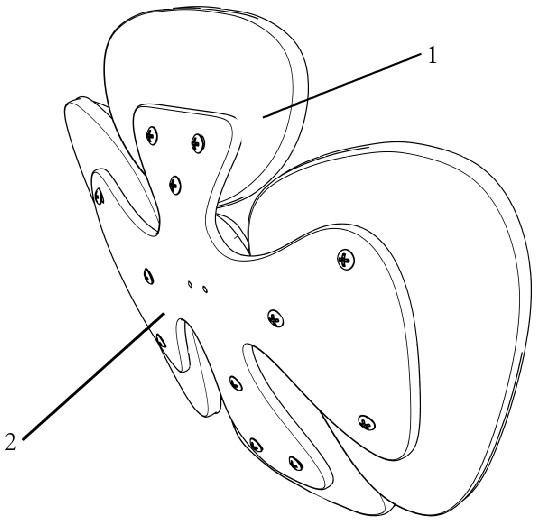 Automatic scrubbing and washing device