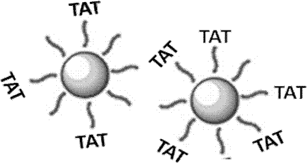 Biological active peptide modified nano-silver and preparation method and applications thereof