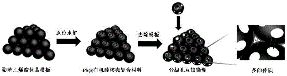 A kind of preparation method of organosilicon material graded pore structure interlocking microcapsules