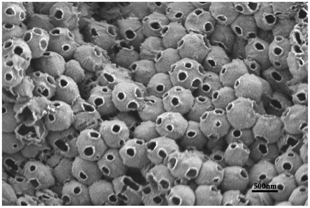 A kind of preparation method of organosilicon material graded pore structure interlocking microcapsules