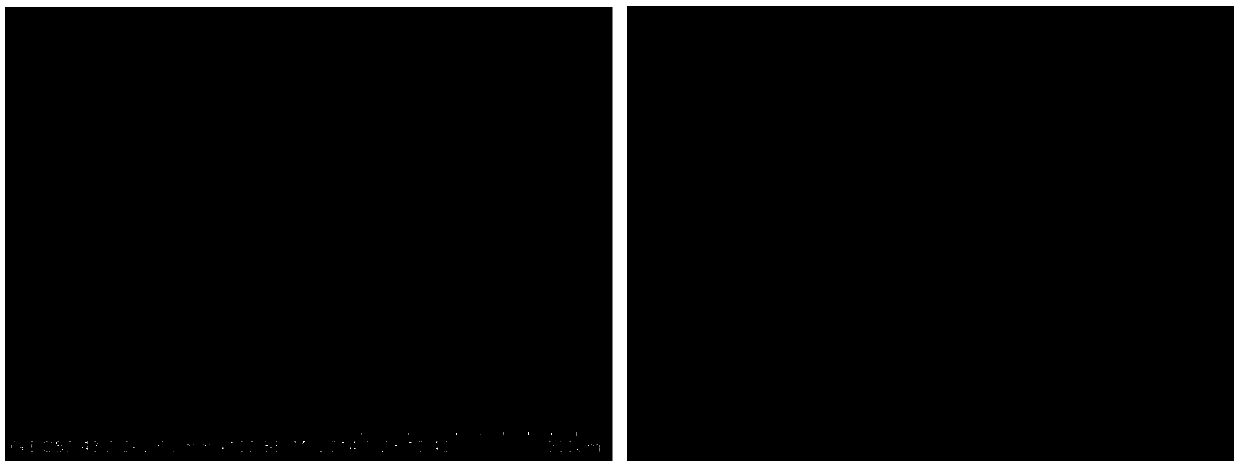 Preparation method of single-walled carbon nanotube-metal hybrid AlPO4-5 molecular sieve composite membrane