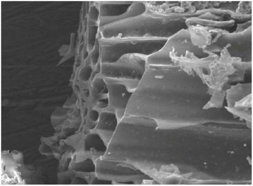 A kind of bagasse activated carbon and preparation method thereof