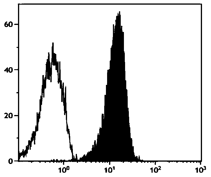 Method for in-vitro large-scale induction of NK cell expansion