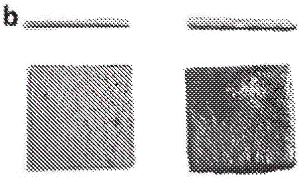 Physical forms of MXene materials exhibiting novel electrical and optical characteristics