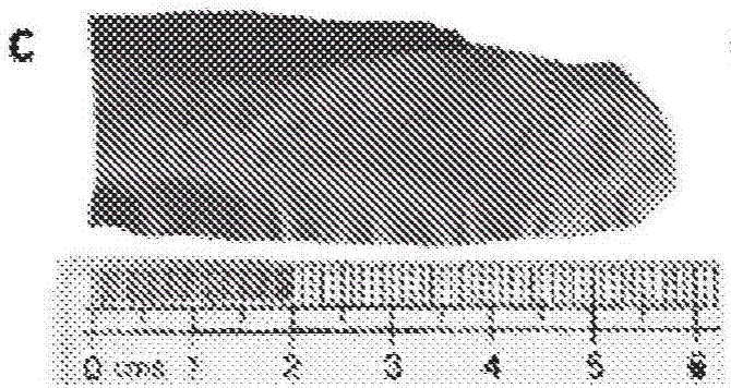 Physical forms of MXene materials exhibiting novel electrical and optical characteristics