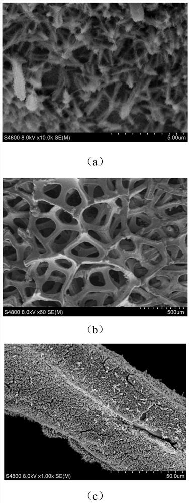 Method for preparing 2, 5-furandicarboxylic acid by electro-catalyzing oxidation of 5-hydroxymethylfurfural and simultaneously electrolyzing water to prepare hydrogen