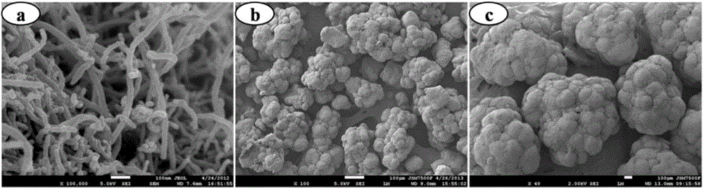 Method for preparing conductive macromolecular composite material with isolation structure