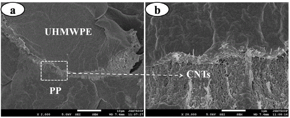 Method for preparing conductive macromolecular composite material with isolation structure