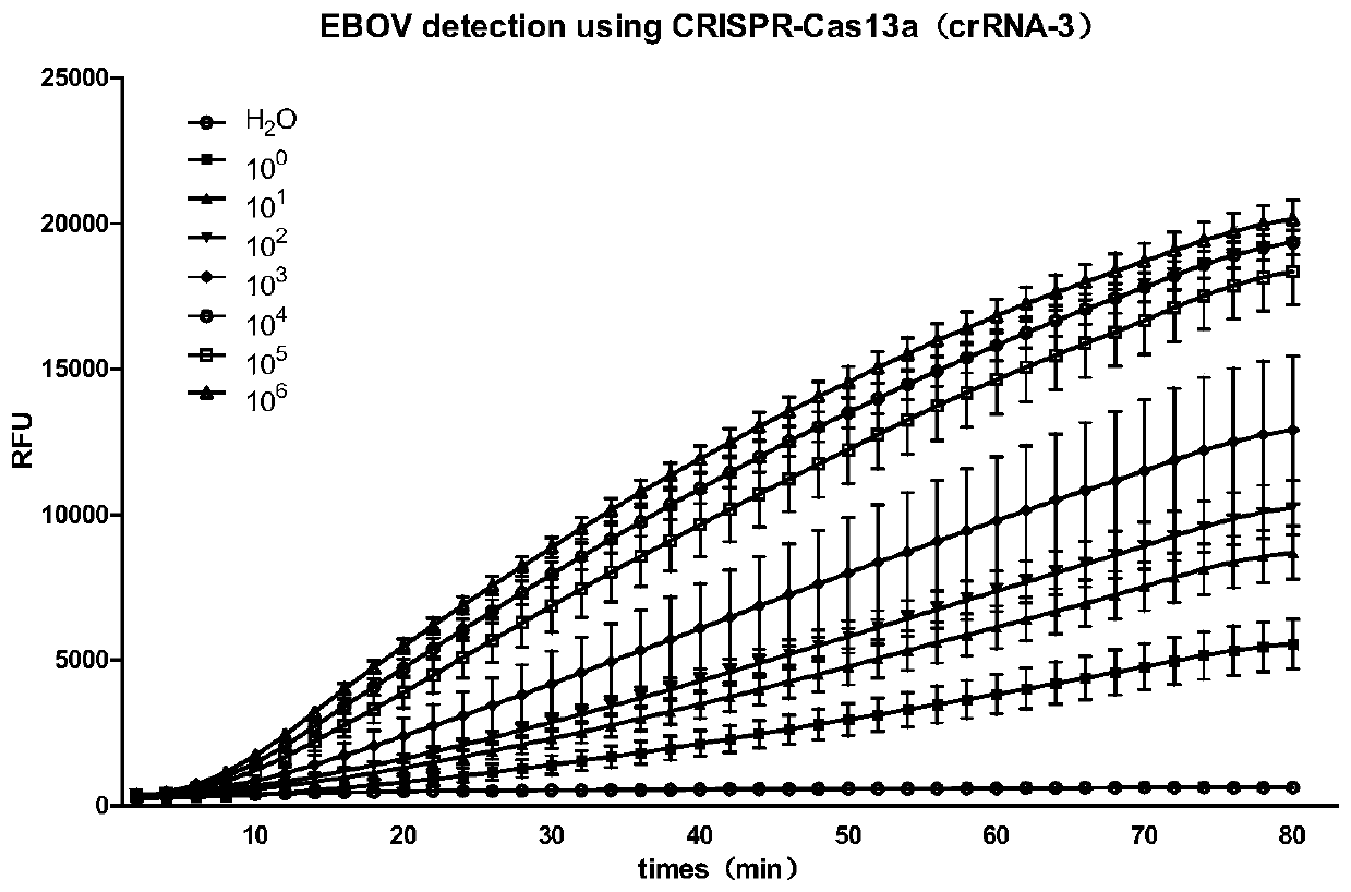 crRNA target point and CRISPR-Cas13a system for detecting Ebola virus