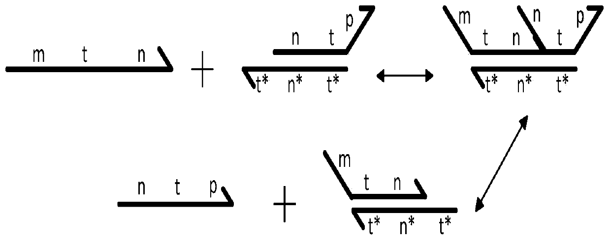 Four-input factorial additive operation molecular circuit design method based on DNA strand displacement