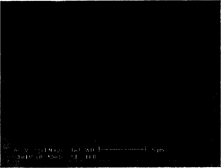 Method for producing nano-wire or nano-belt of zinc oxide