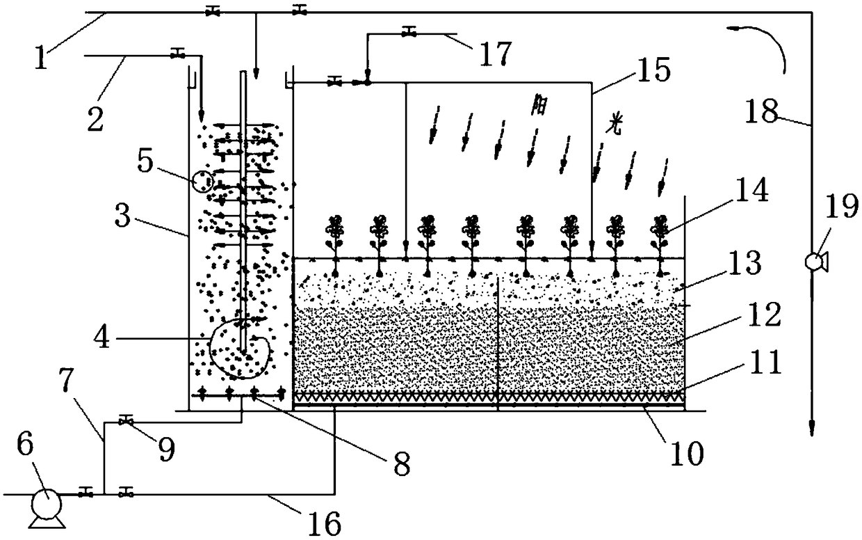 Removal device and removal method for wastewater containing bisphenol A